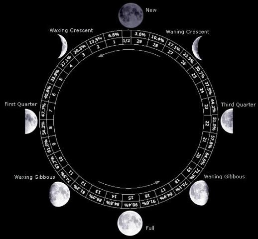 Reporte Lunar Semana 8/8 a 8/14
