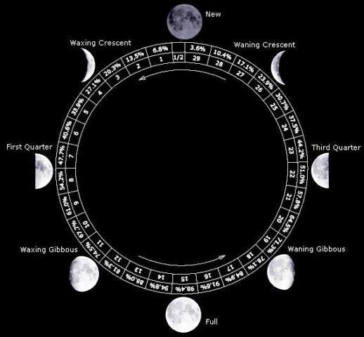 Reporte Lunar Semana del 10/16 de Oct