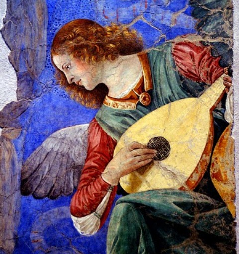 REPORTE HOLISTICO SEMANAL DEL 30 DE ABRIL AL 06 DE MAYO