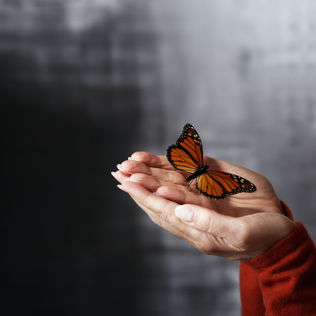 La Piedra (En Positivo)