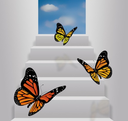 REPORTE HOLISTICO SEMANAL DEL 16  AL 22 DE JULIO