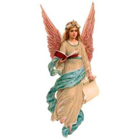 REPORTE HOLISTICO SEMANA DEL 20  AL 26 DE AGOSTO