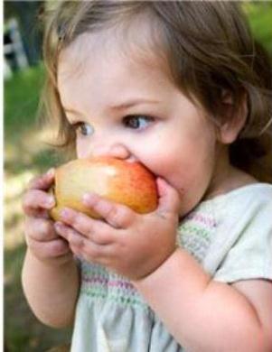 COMER BIEN PARA VIVIR MEJOR  ( S.O.S BIENESTAR TOTAL)