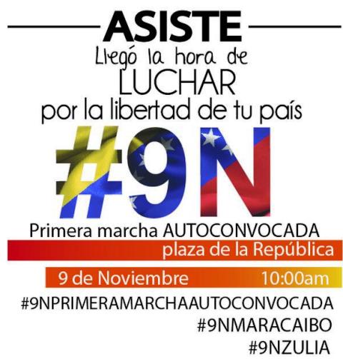 AsisteaLamarcha.Nov9.2013