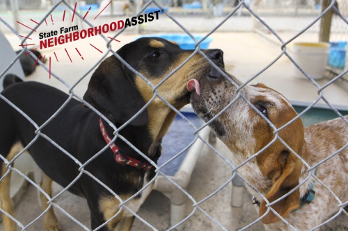 200 causes need your vote to win $25k from State Farm Neighborhood Assist (PRNewsFoto/State Farm)