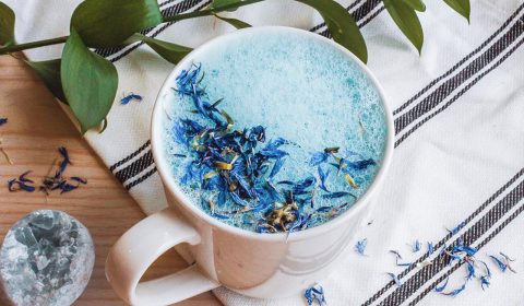 Moon Milk Con Cacao De Lavanda
