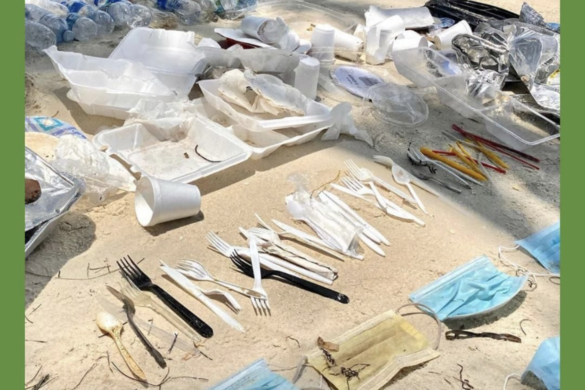 Plastic Cutlery Crisis Solved