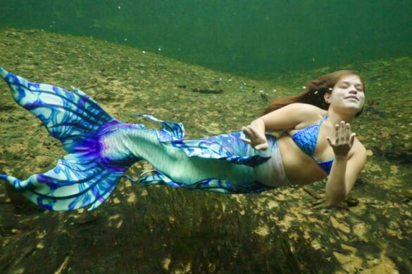 Emmy Award-Winning Filmmaker Focuses Lens On Florida’s Struggling Springs