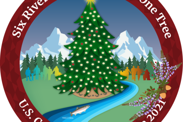 Ayuda A Decorar El Árbol De Navidad Del Capitolio De EE. UU. 2021