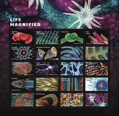Nuevas Estampillas Del Servicio Postal “Life Magnified Stamps”