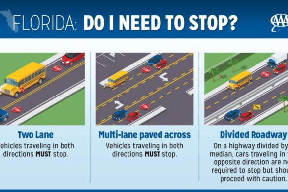 Safety Tips For Drivers Pedestrians And Bicyclists
