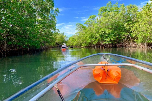 Florida’s Great Outdoors