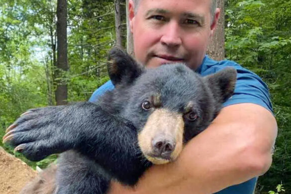 Wildlife Nation Expedition Florida Debuts On ABC Stations