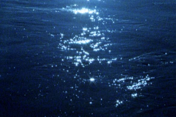 Macario Martínez Lanza Nuevo Sencillo